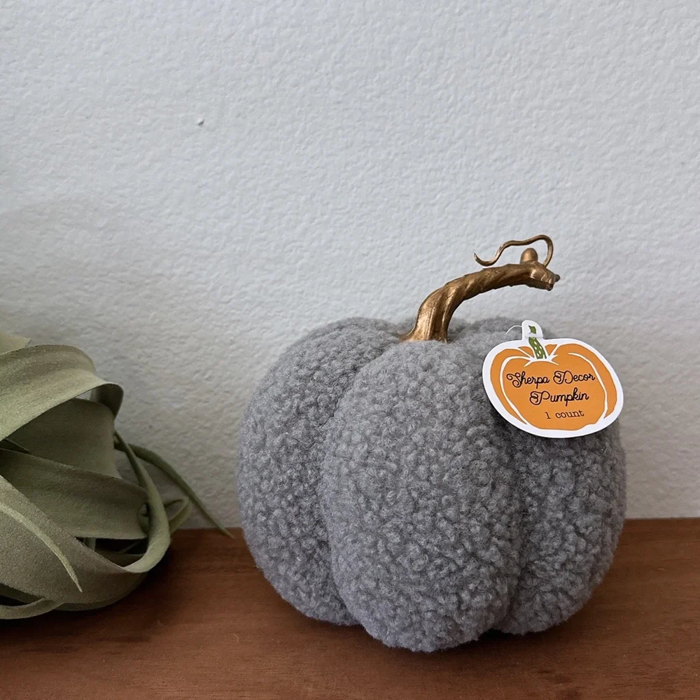 LAST ONE 🔥 Target Bullseye Halloween Pumpkin Gray